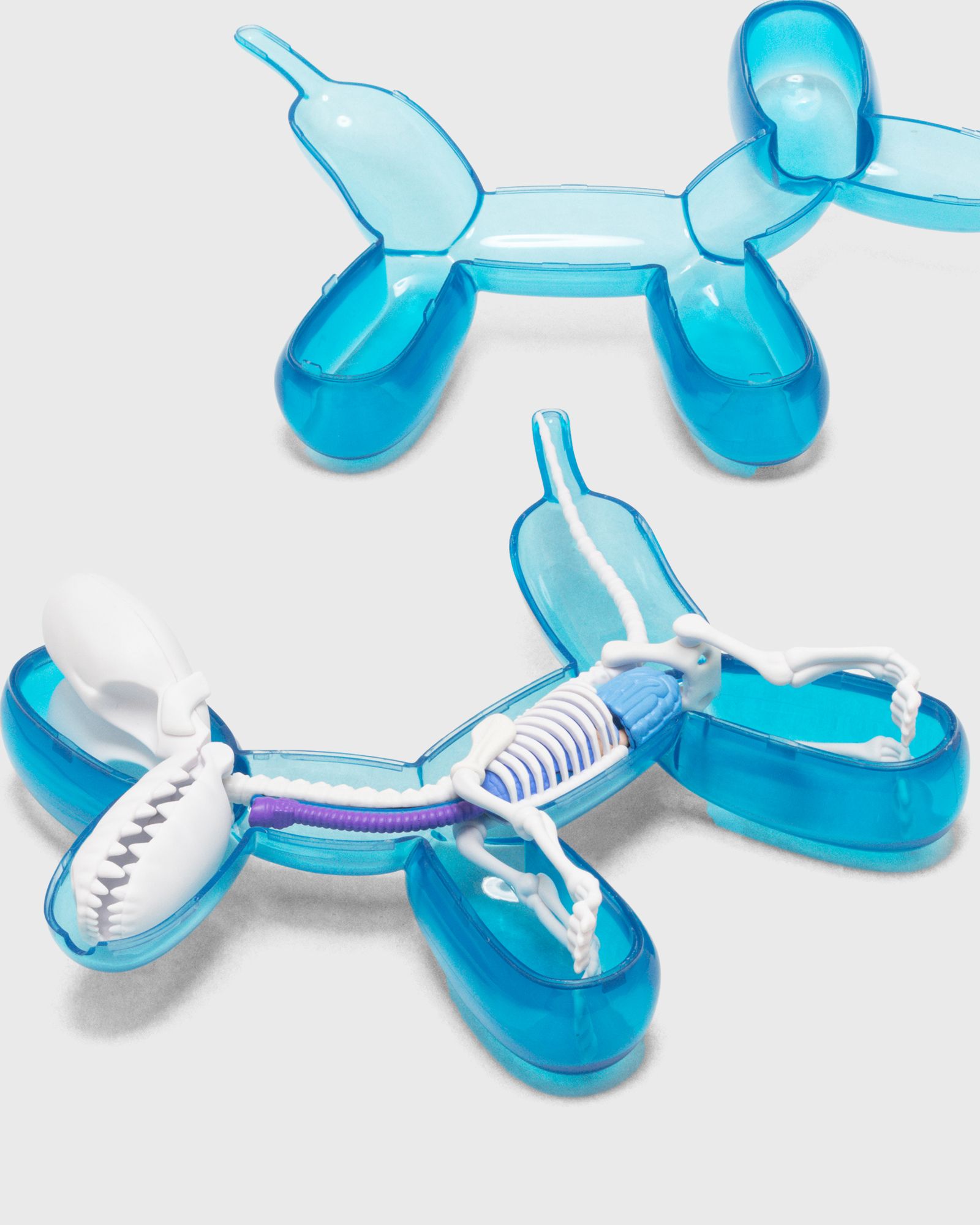 Funny Anatomy Balloon Dog (Sky Blue Edition)