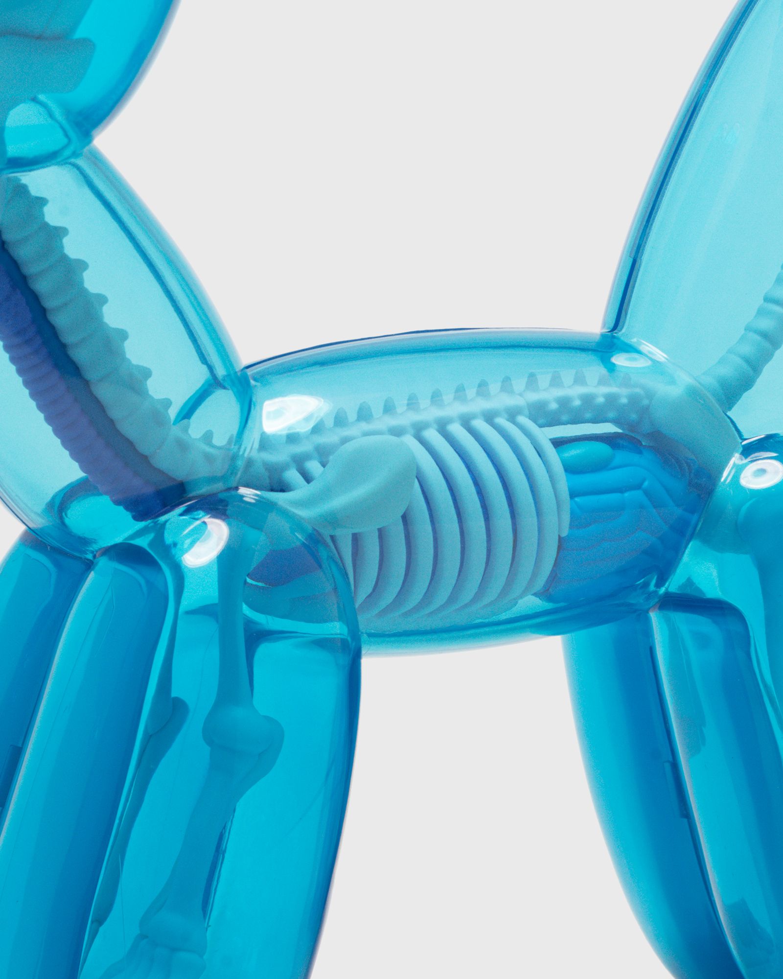 Funny Anatomy Balloon Dog (Sky Blue Edition)