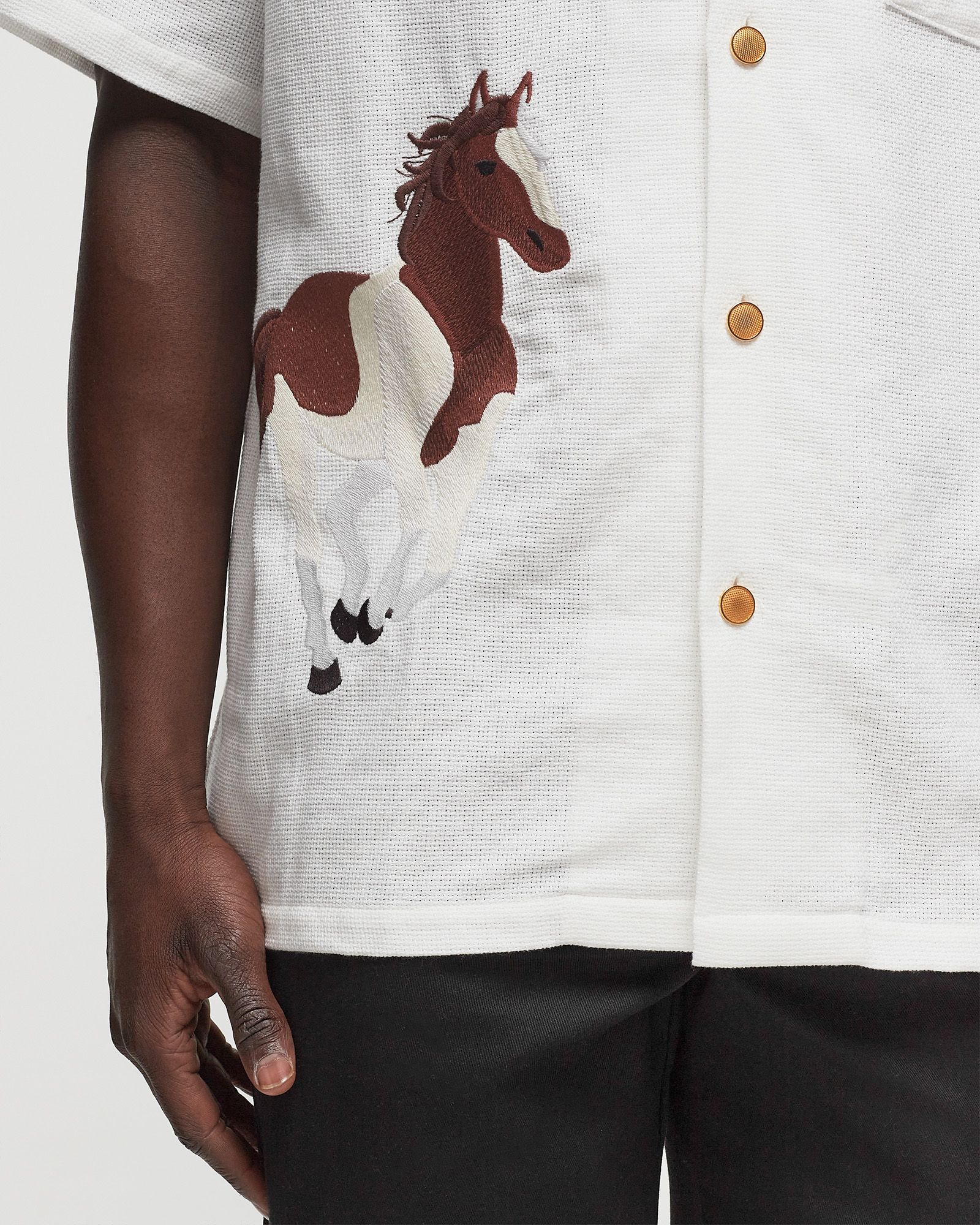 A SHIRT WITH NO NAME