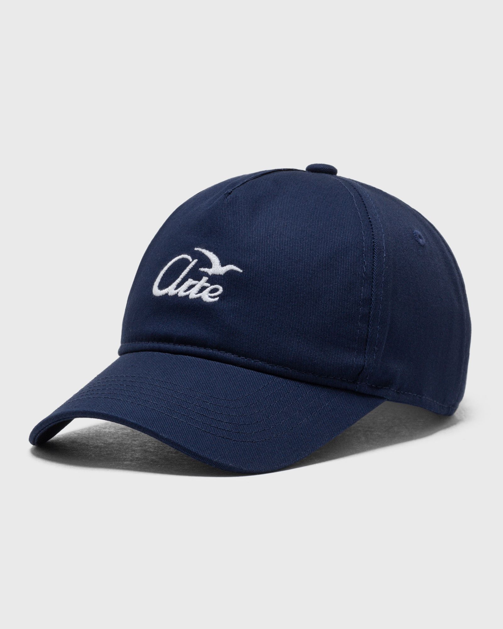 Logo bird cap