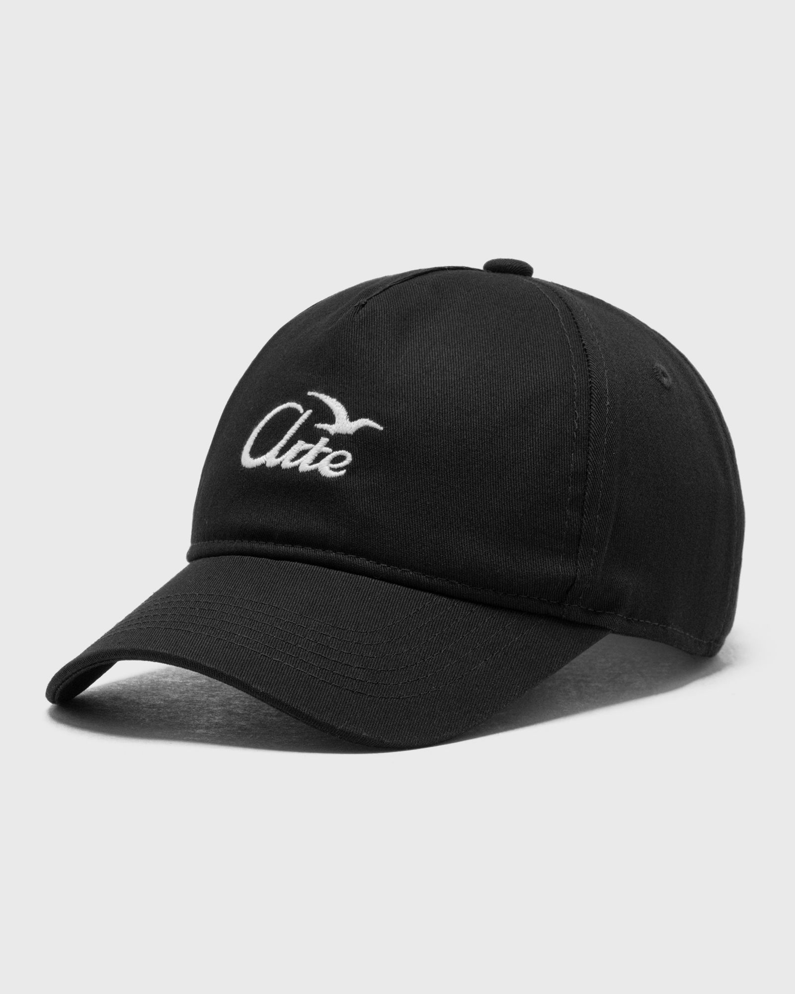 Logo bird cap