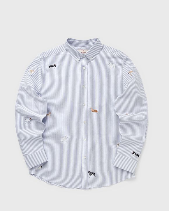 Dogs Oxford