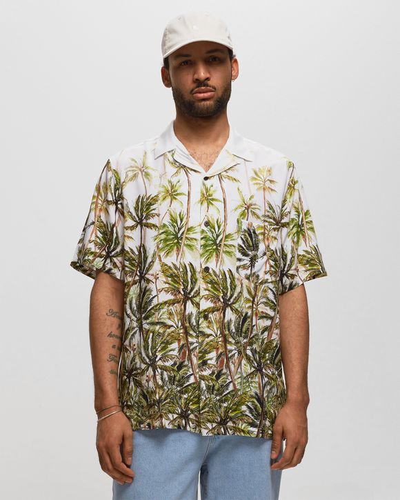 PALM