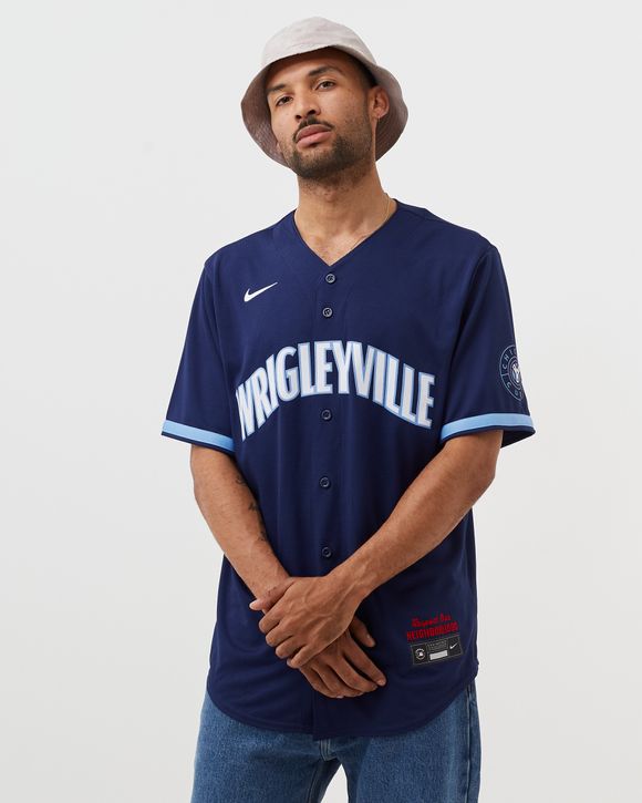 Nike MLB Atlanta Braves Official Replica Jersey City Connect Blue/White