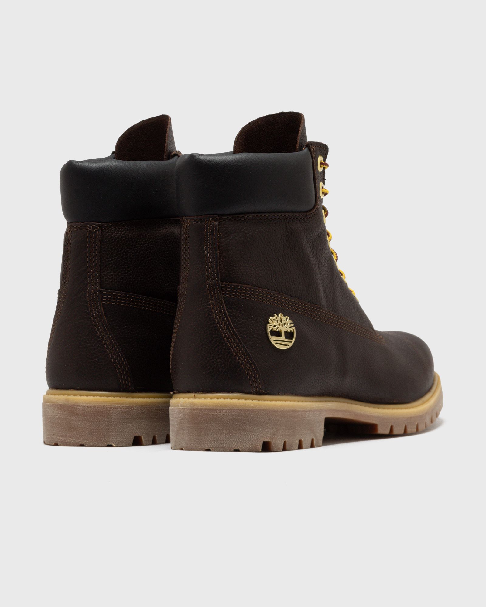 x Project Pont 6 Premium