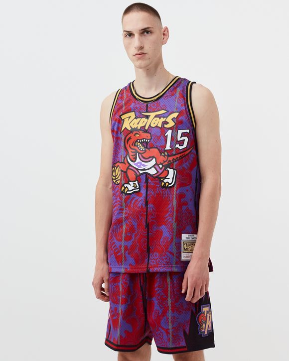 Toronto Raptors Drip Primary Logo NBA Basketball Mitchell & Ness