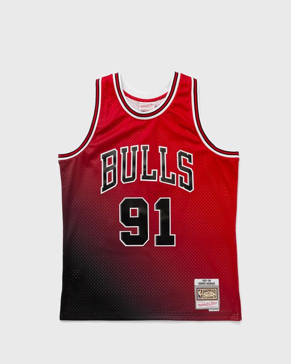 NBA Swingman Jersey Chicago Bulls 1995-96 Dennis Rodman #91