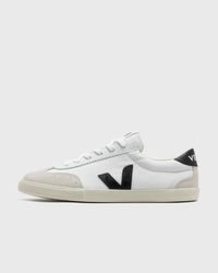 VOLLEY CANVAS