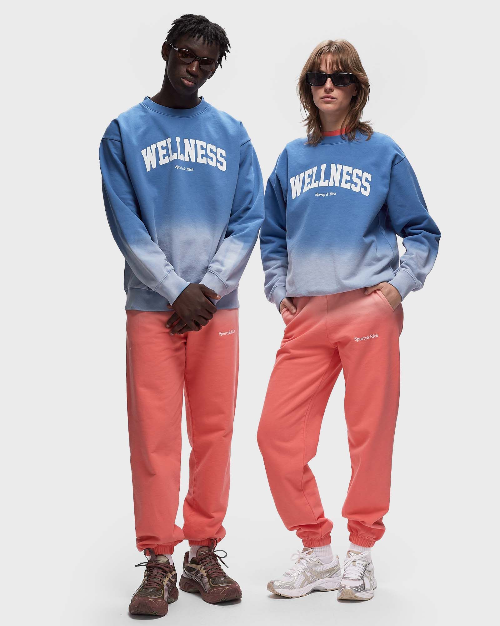 Wellness Ivy Crewneck Dip Dye