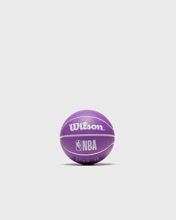 MINI NBA DRIBBLER BASKETBALL LA LAKERS