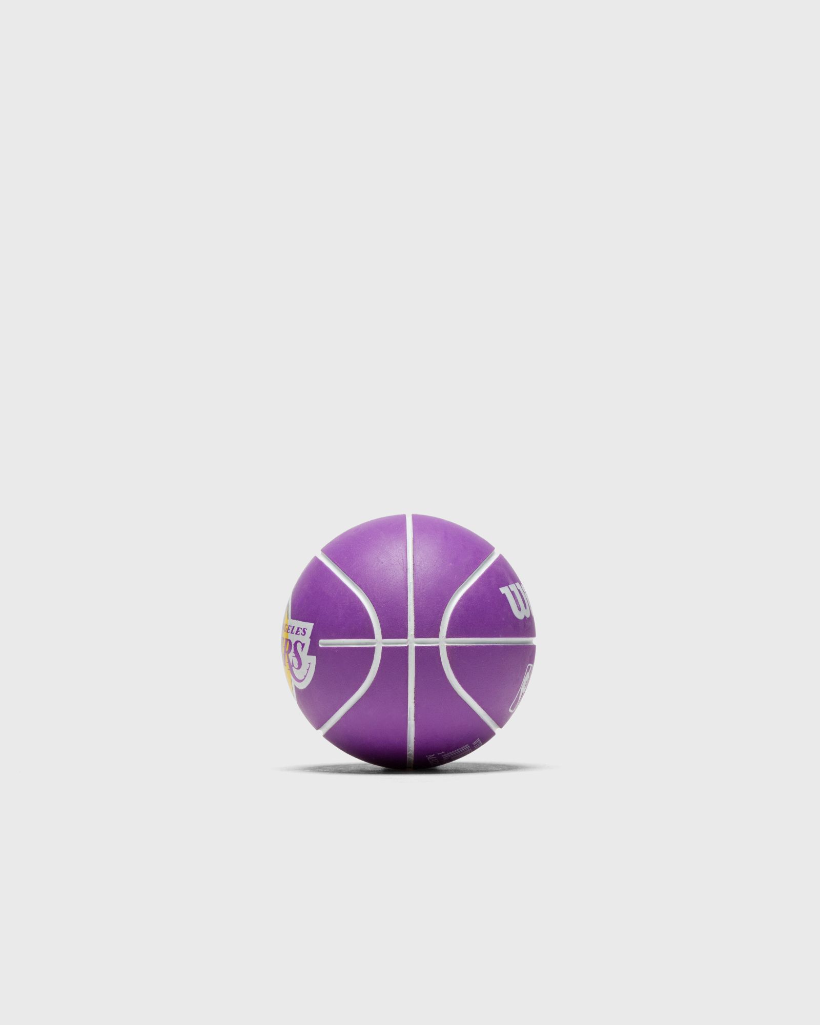 MINI NBA DRIBBLER BASKETBALL LA LAKERS