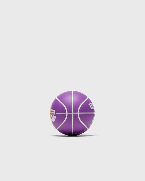 MINI NBA DRIBBLER BASKETBALL LA LAKERS