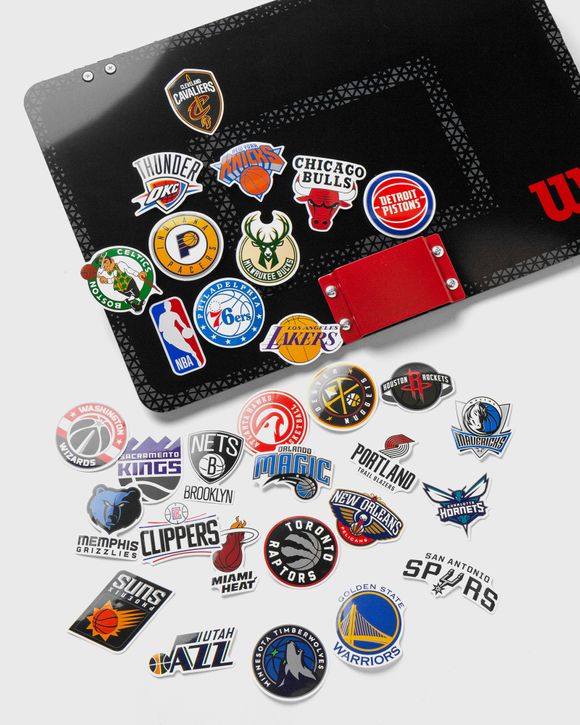 NBA FORGE TEAM MINI HOOP