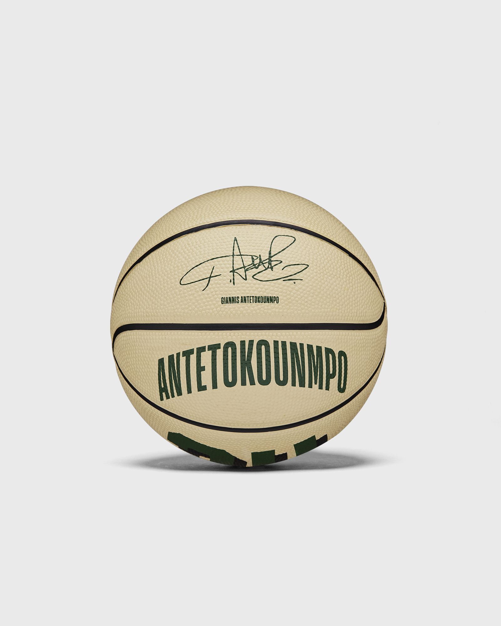 NBA PLAYER ICON MINI BASKETBALL GIANNIS SIZE 3