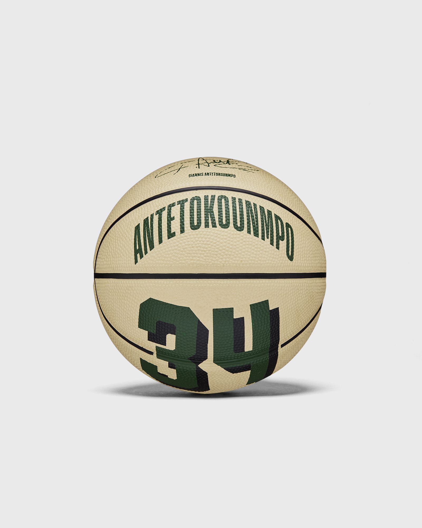 NBA PLAYER ICON MINI BASKETBALL GIANNIS SIZE 3