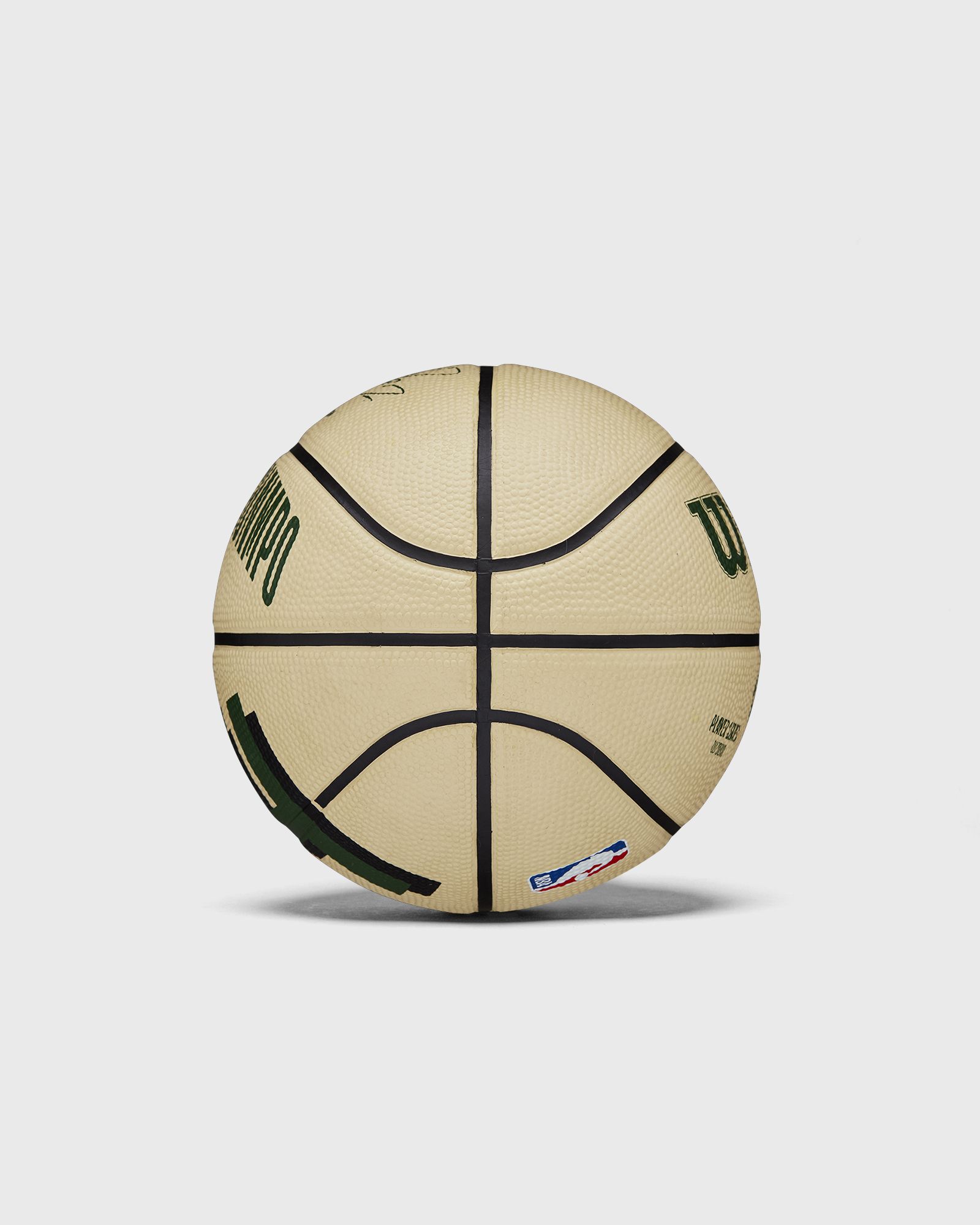 NBA PLAYER ICON MINI BASKETBALL GIANNIS SIZE 3