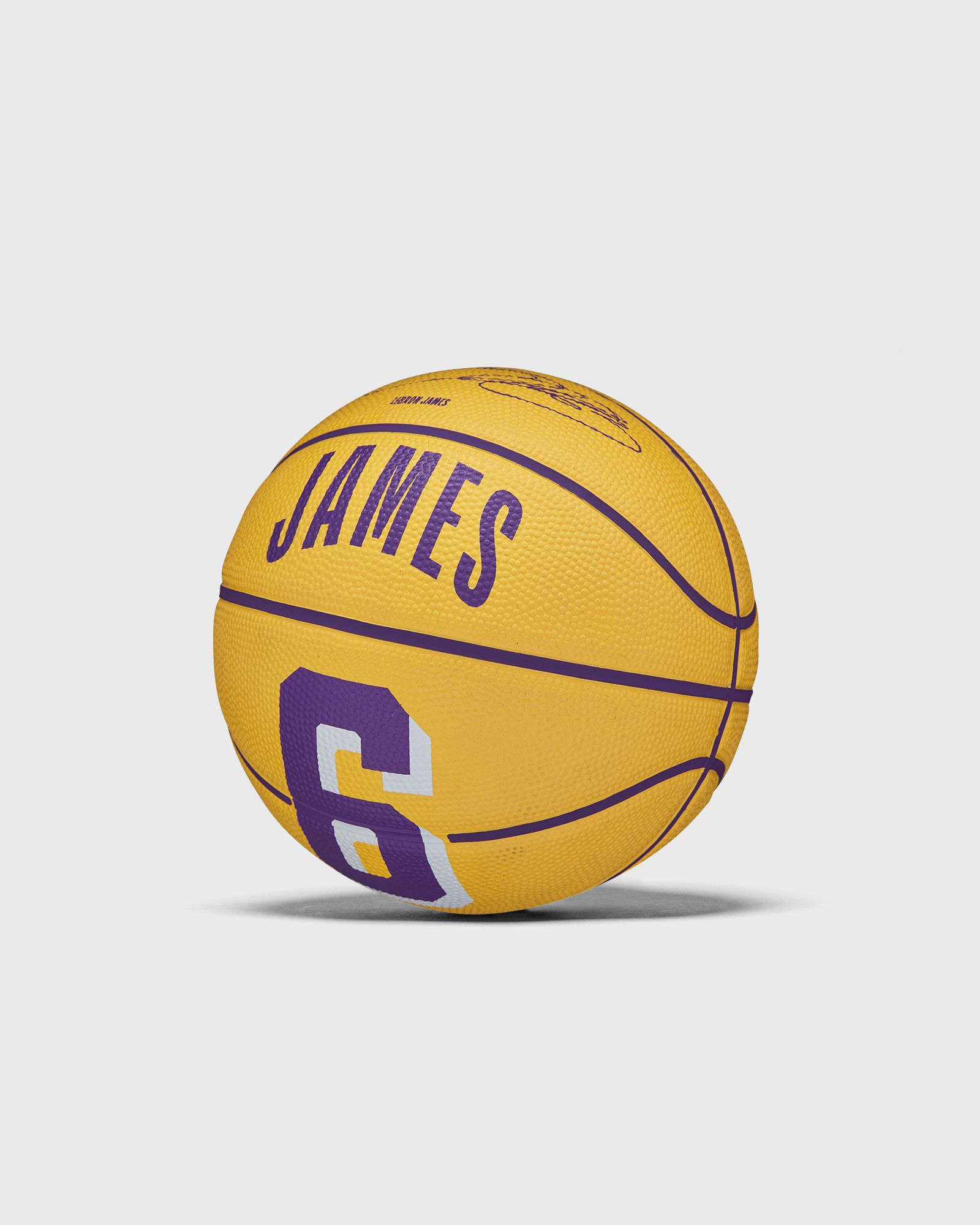 NBA PLAYER ICON Basketball MINI LEBRON Size 3