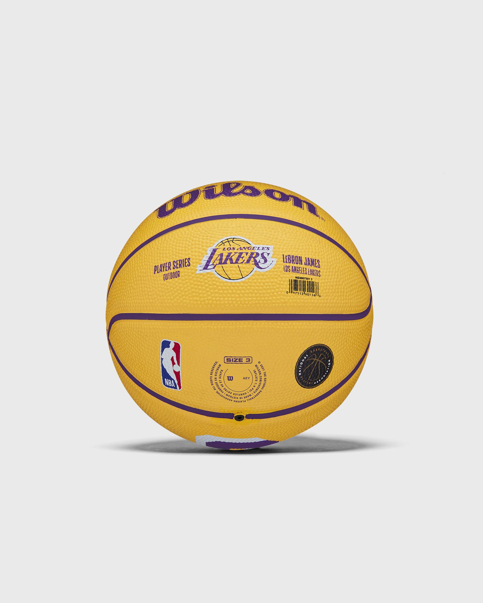 NBA PLAYER ICON Basketball MINI LEBRON Size 3