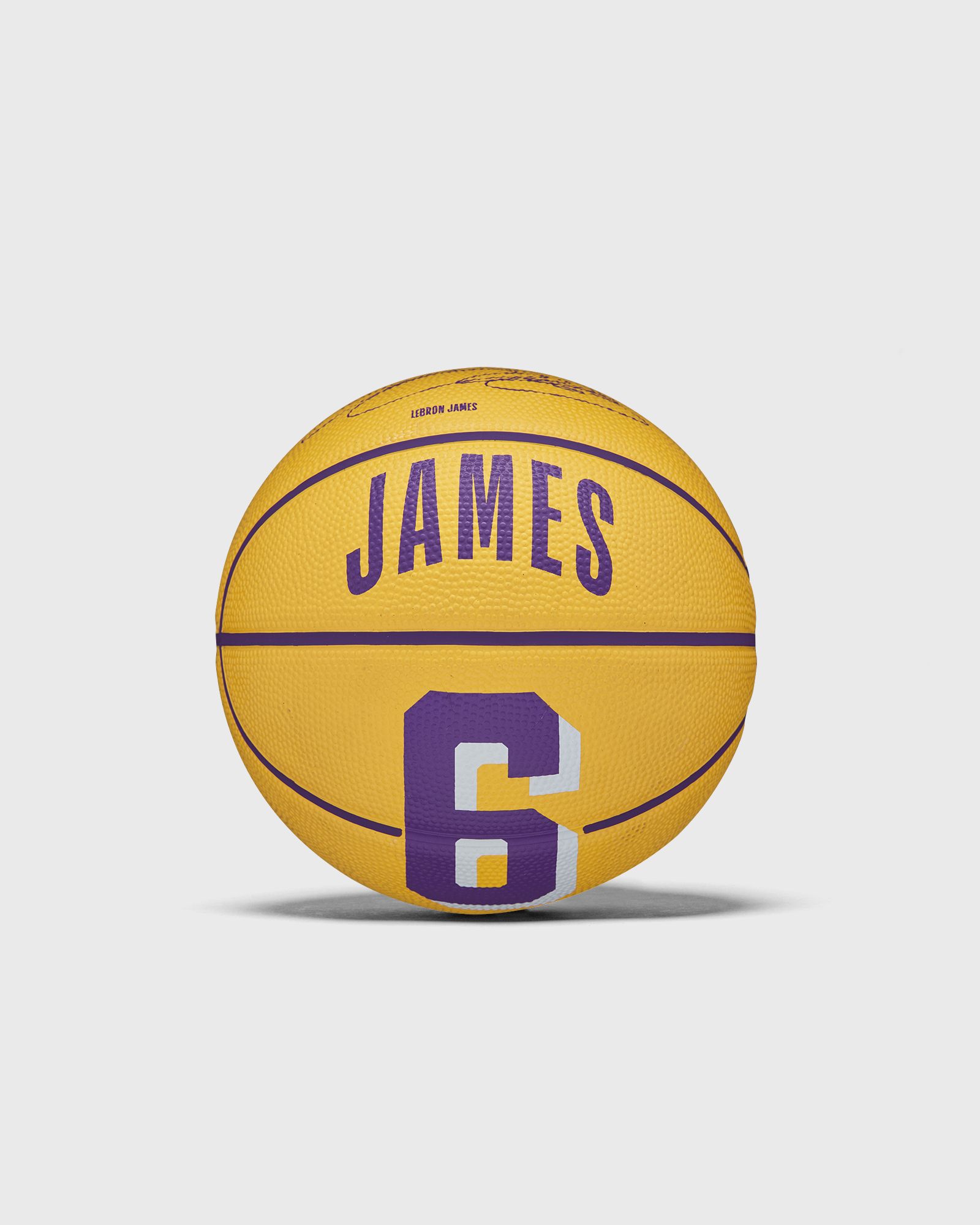 NBA PLAYER ICON Basketball MINI LEBRON Size 3