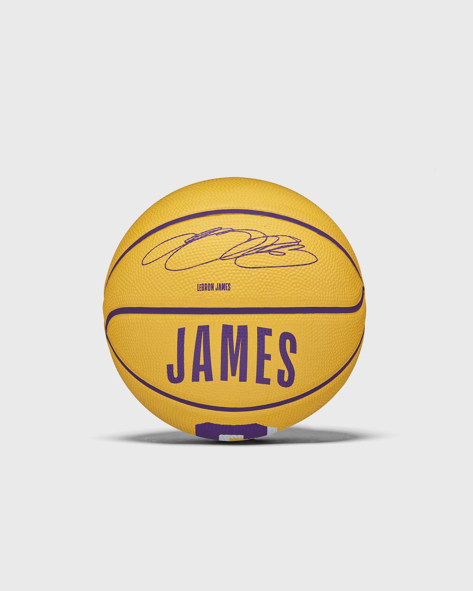 NBA PLAYER ICON Basketball MINI LEBRON Size 3