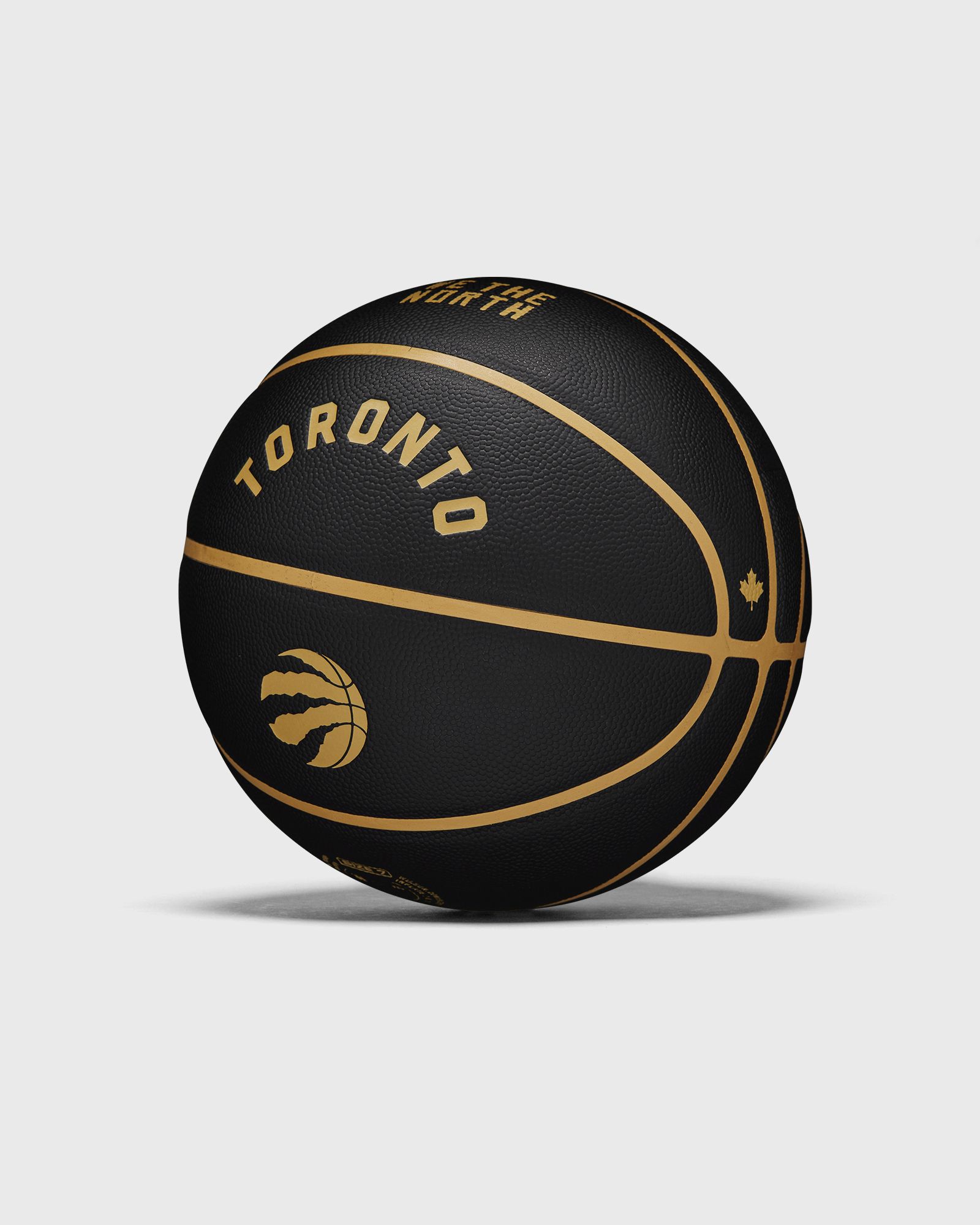 NBA TEAM CITY COLLECTOR BASKETBALL TORONTO RAPTORS SIZE 7