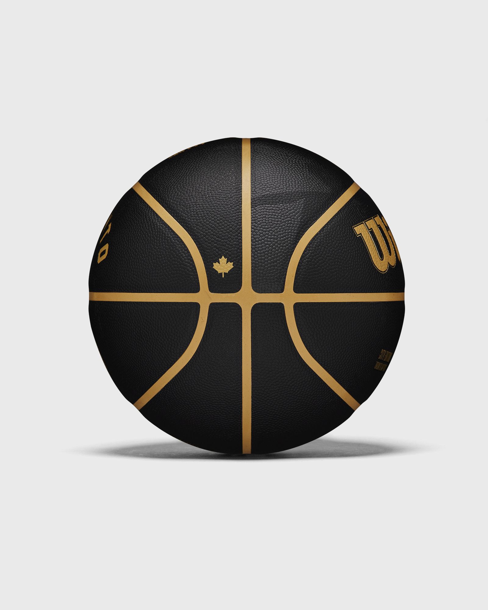 NBA TEAM CITY COLLECTOR BASKETBALL TORONTO RAPTORS SIZE 7