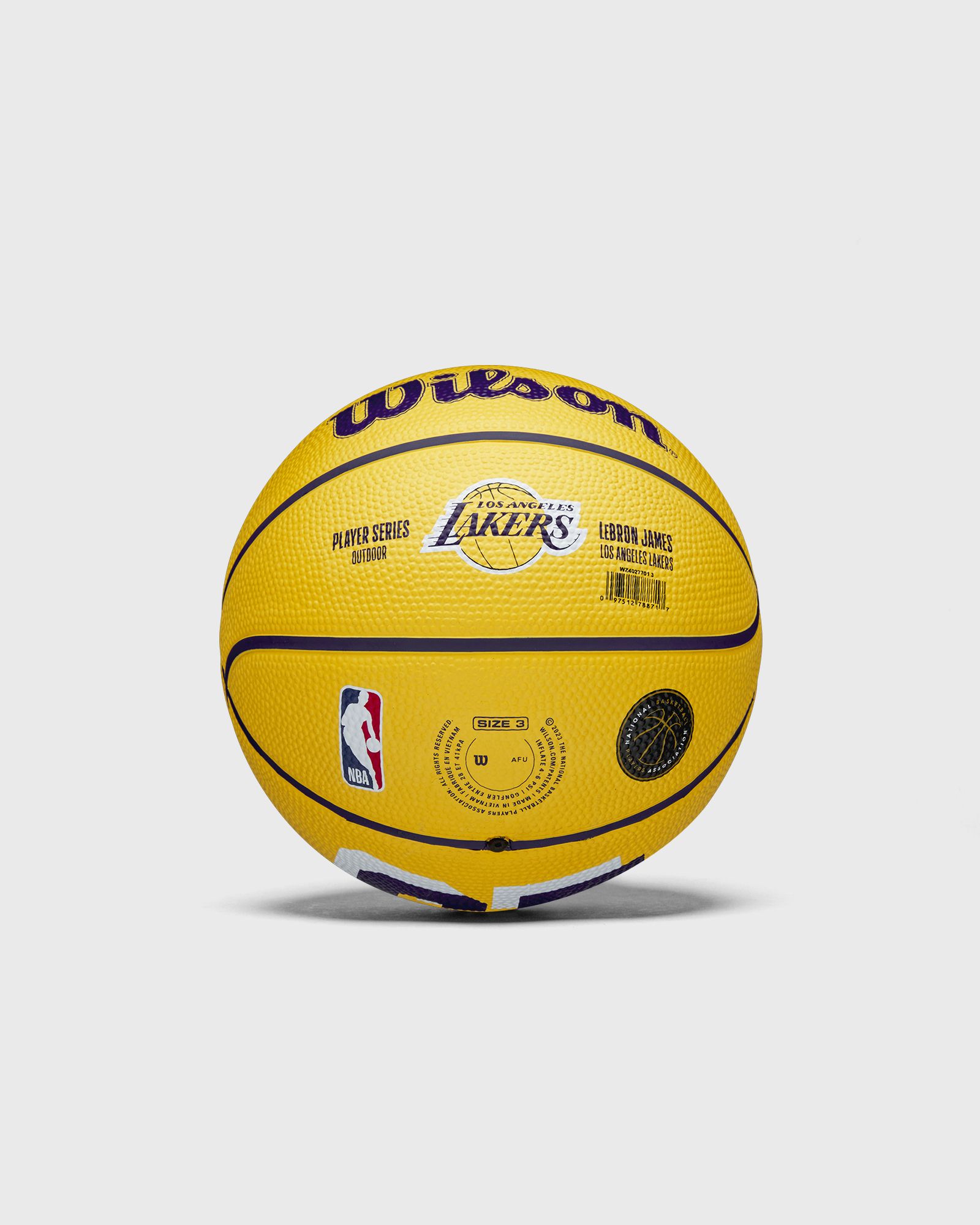 NBA PLAYER ICON MINI BASKETBALL LEBRON NEW SIZE 3