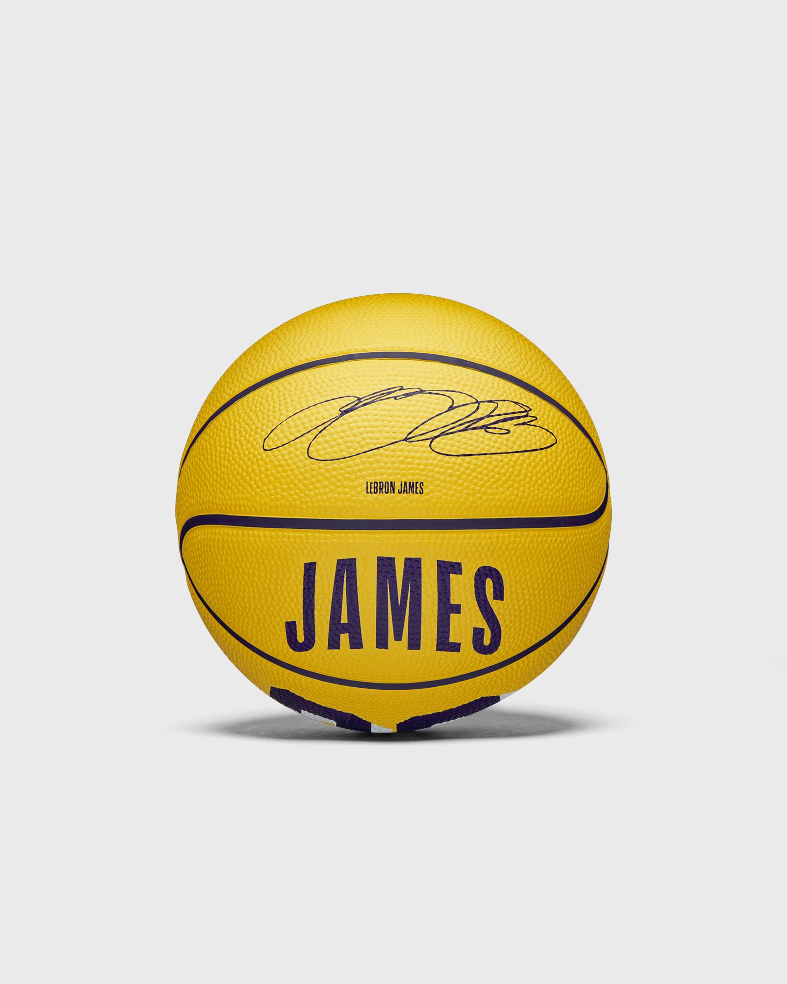 NBA PLAYER ICON MINI BASKETBALL LEBRON NEW SIZE 3