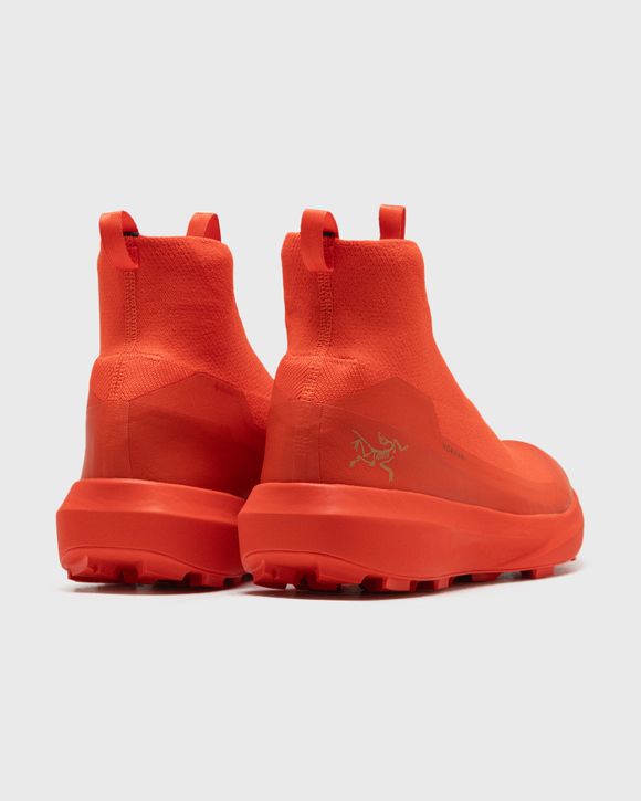 NORVAN 4 NIVALIS MEN