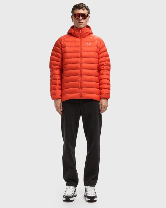 ARC'TERYX Cerium Hoody M 完売品 Arc'teryx Men's Cerium Hoody