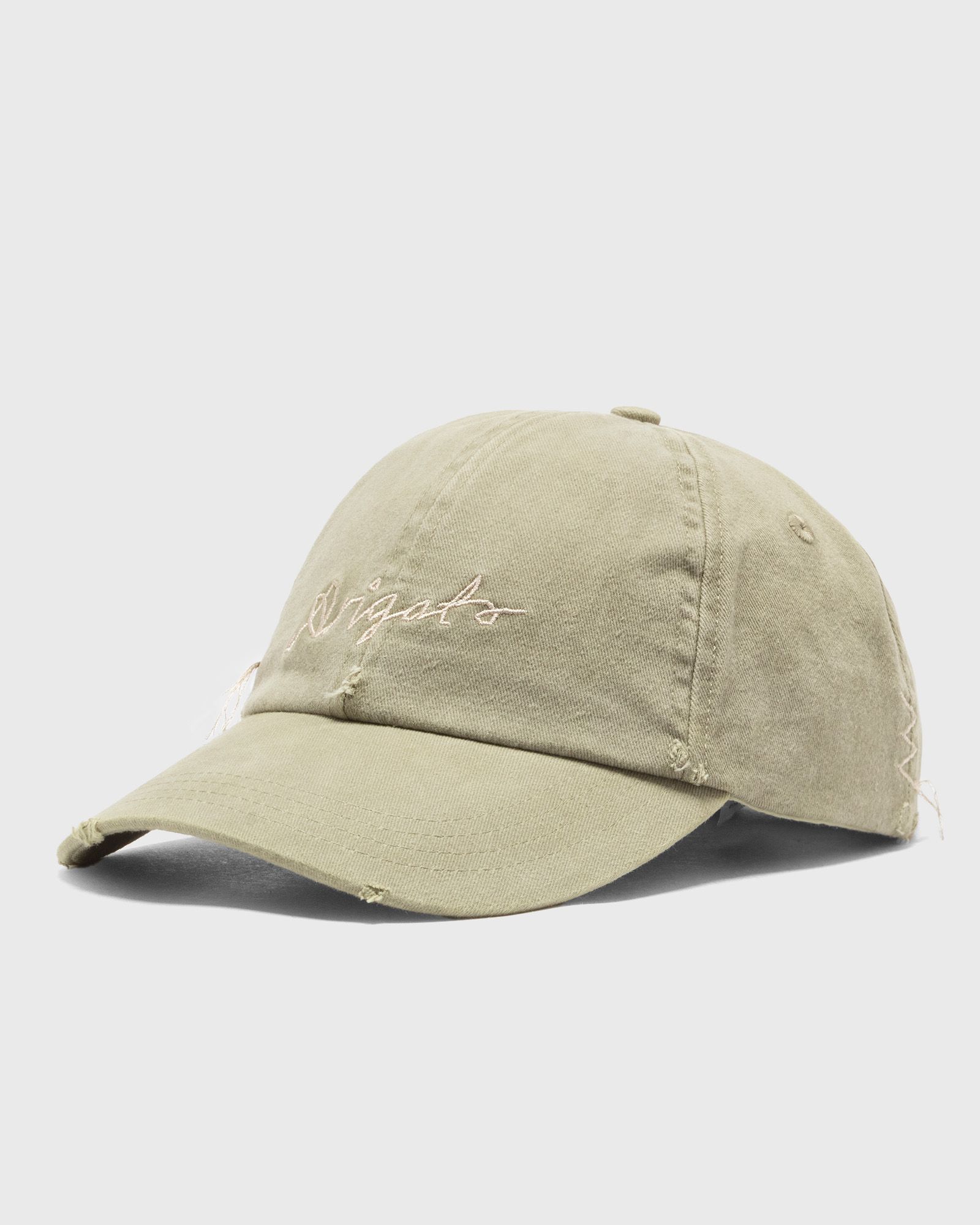 Seam Distressed Cap