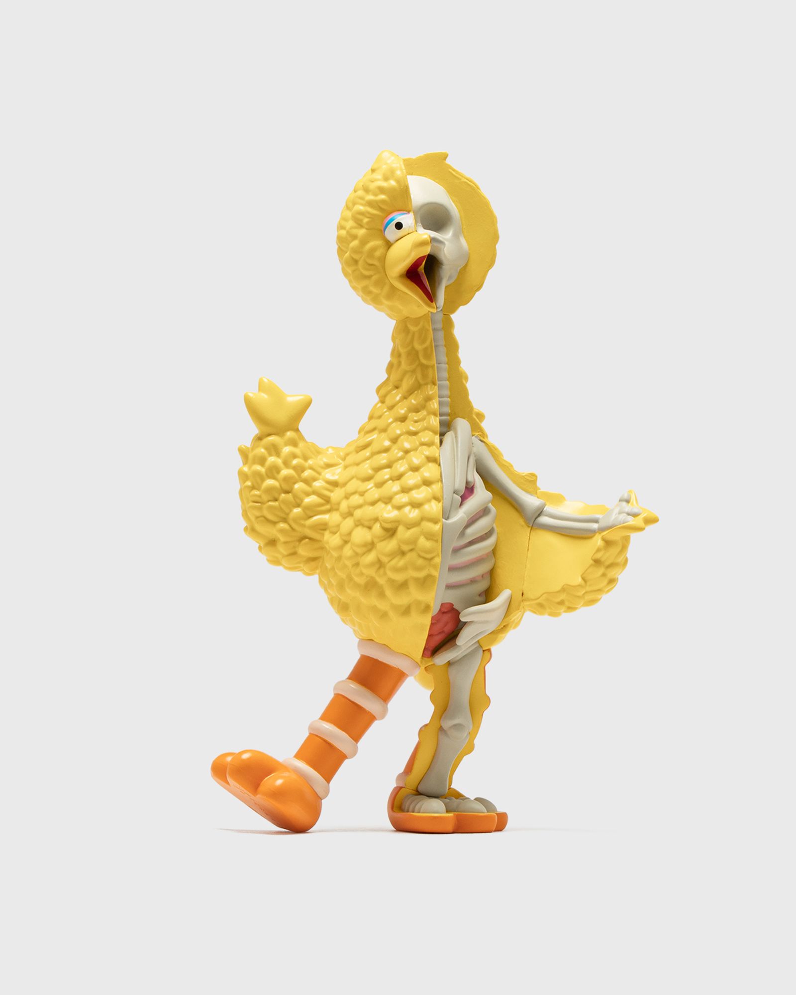 XXRAY PLUS: Sesame StreetBig Bird