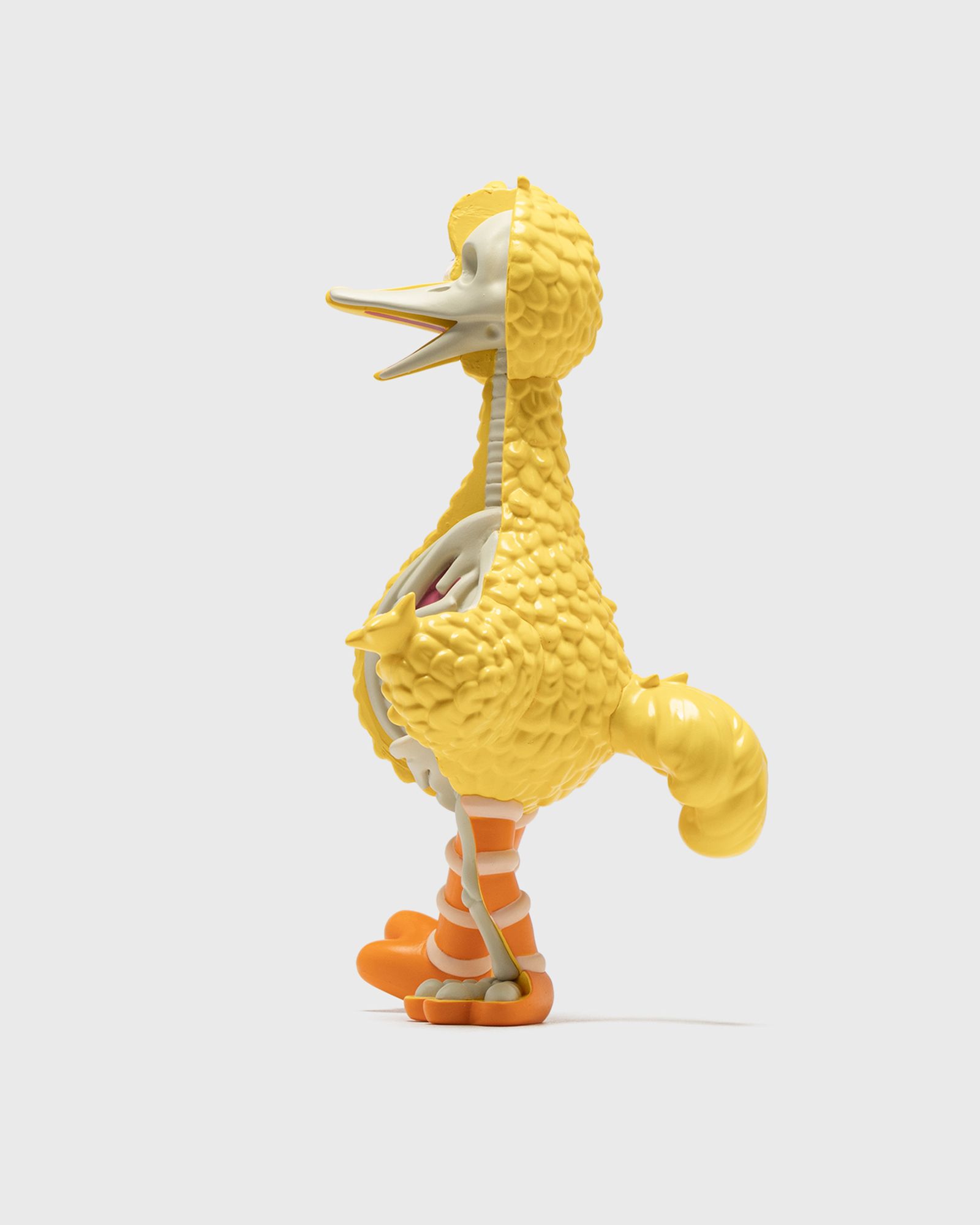 XXRAY PLUS: Sesame StreetBig Bird
