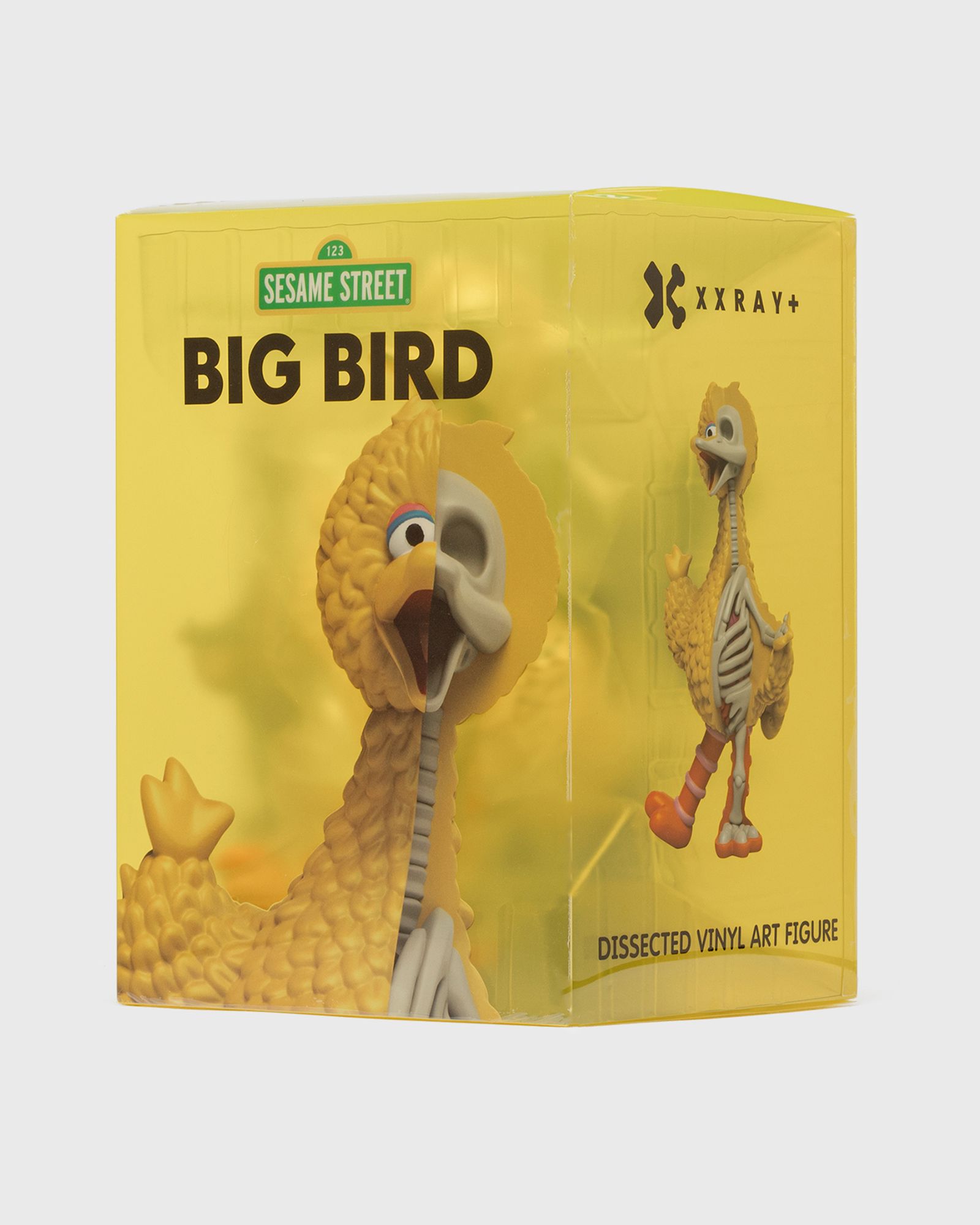XXRAY PLUS: Sesame StreetBig Bird
