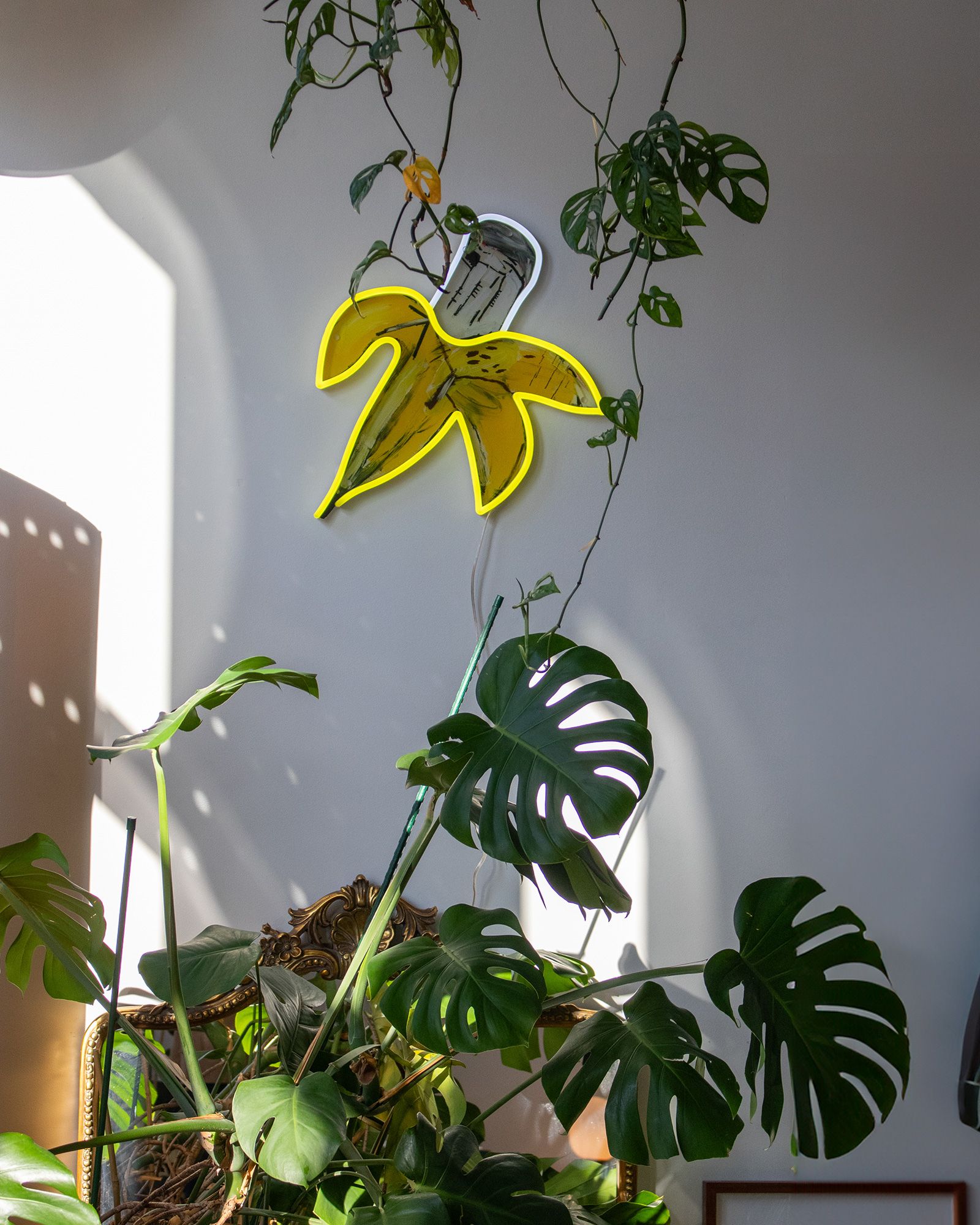 Jean Michel Basquiat Banana - EU PLUG