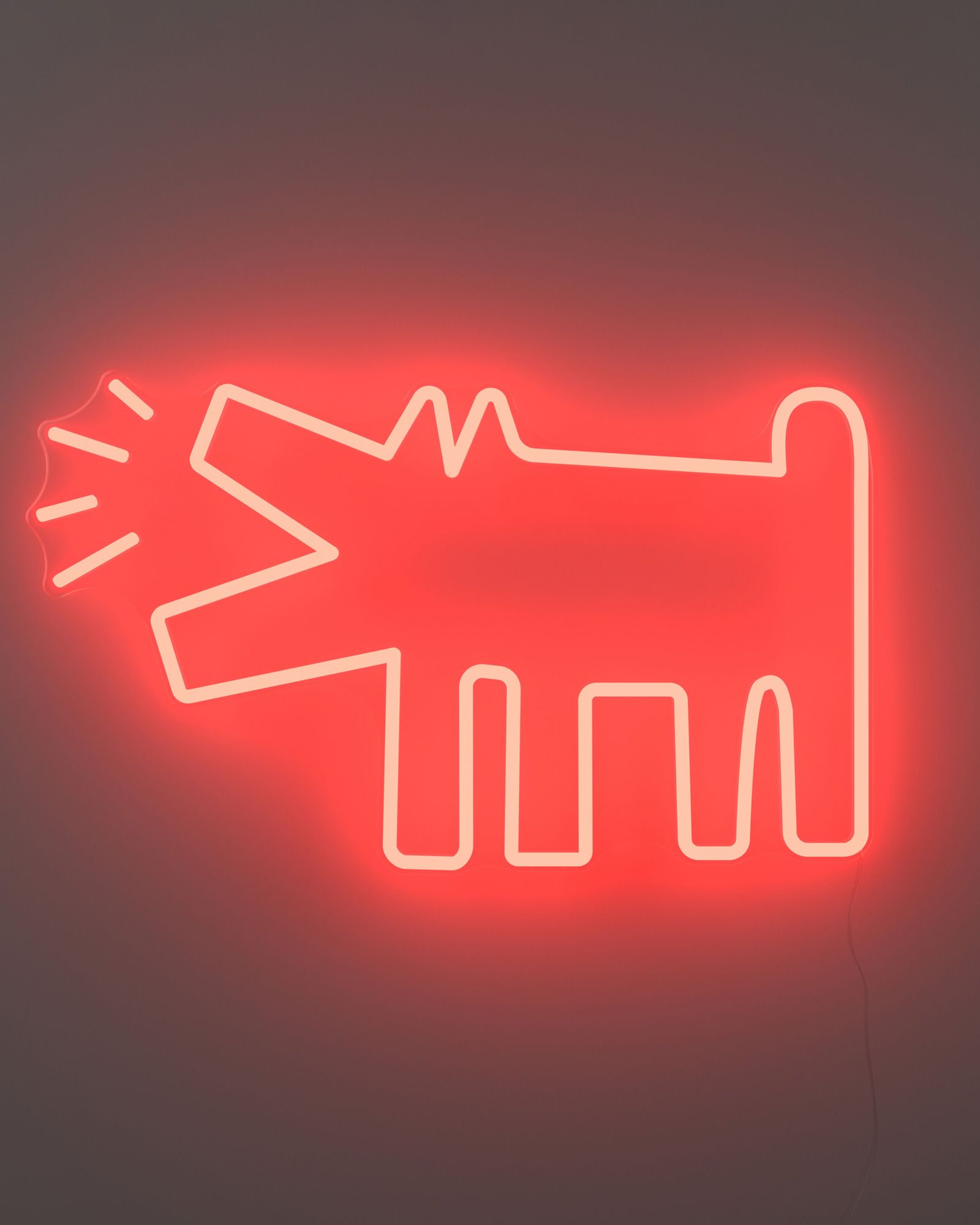 Keith Haring Barking Dog - EU PLUG
