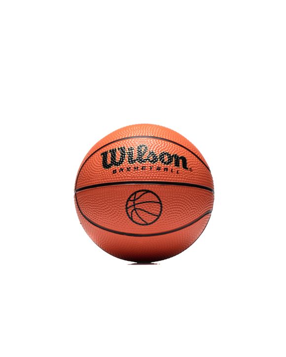 MICRO BASKETBALL
