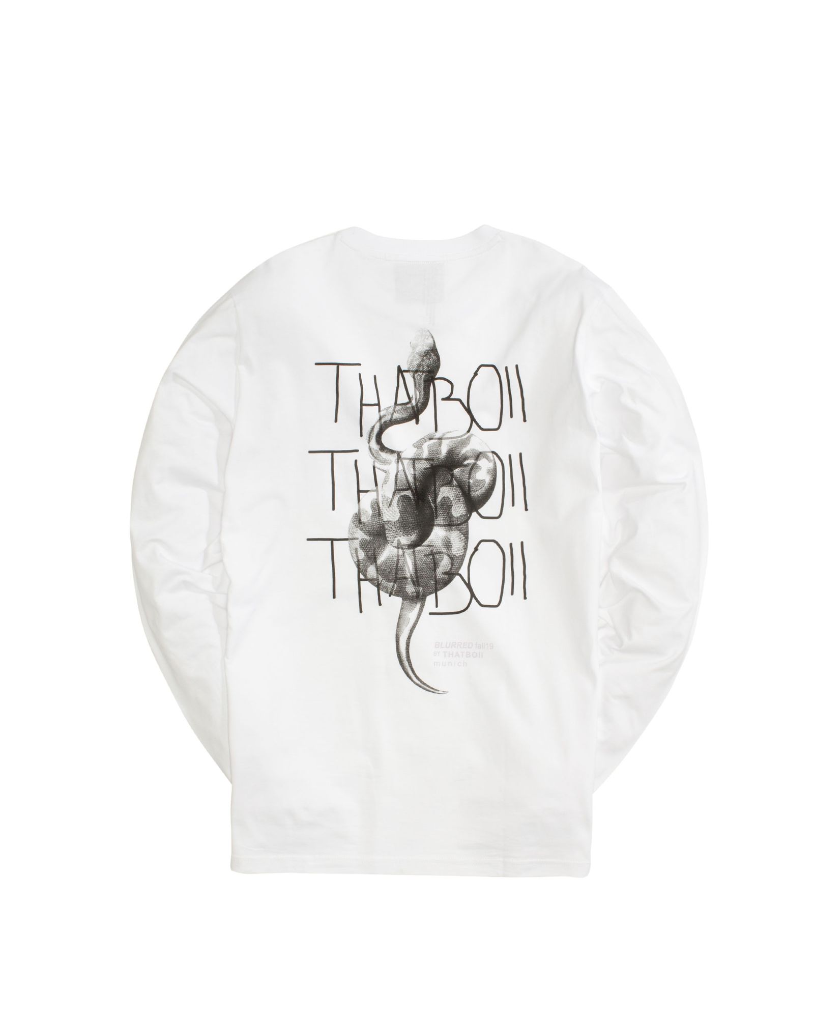 blurred Longsleeve