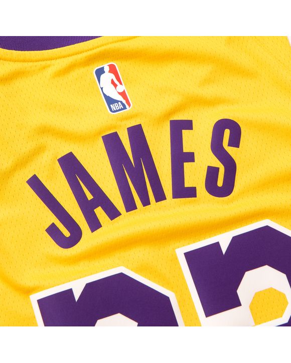 Lebron James Swingman Jersey