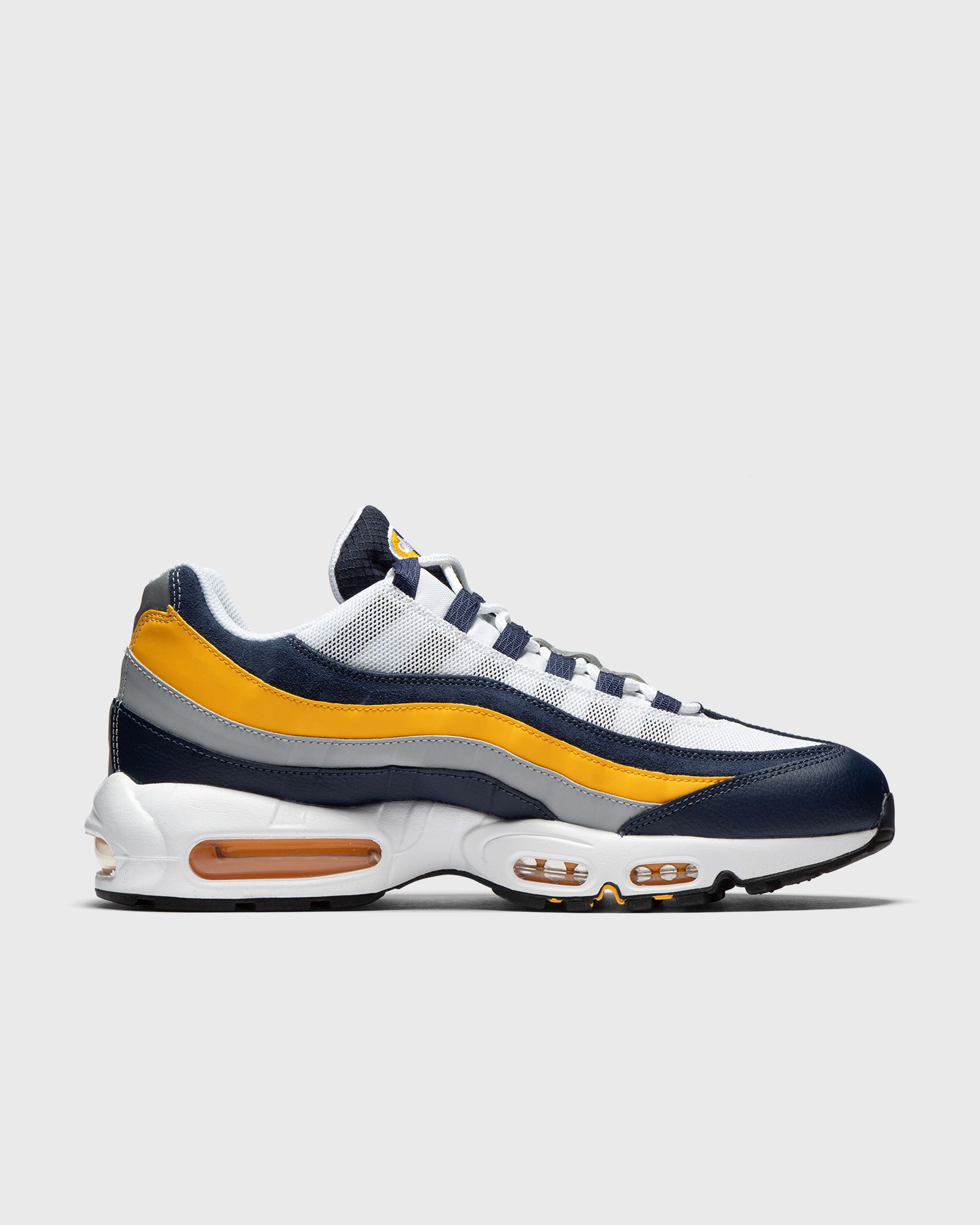 Air Max 95 Michigan