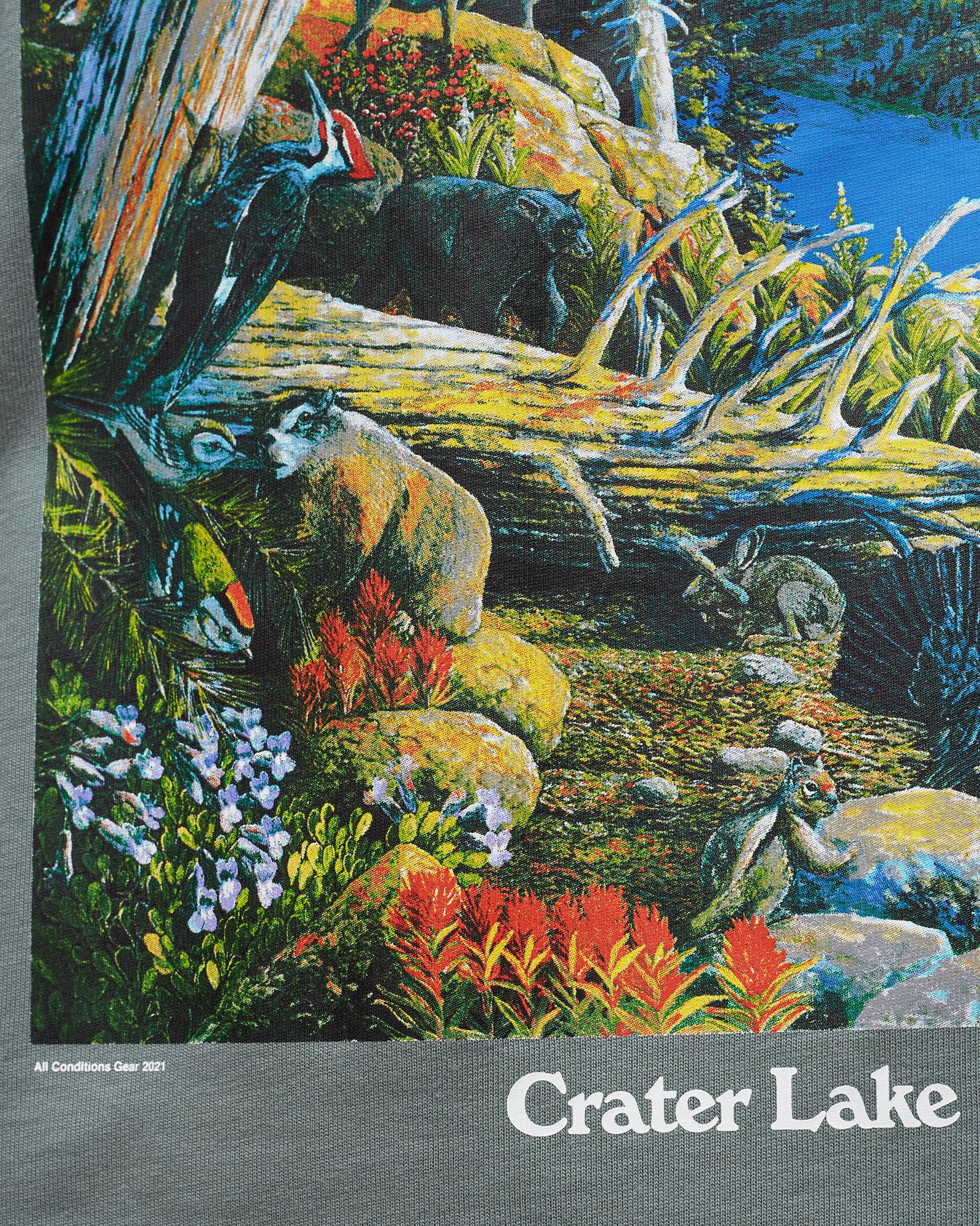 ACG "Crater Lake" Tee