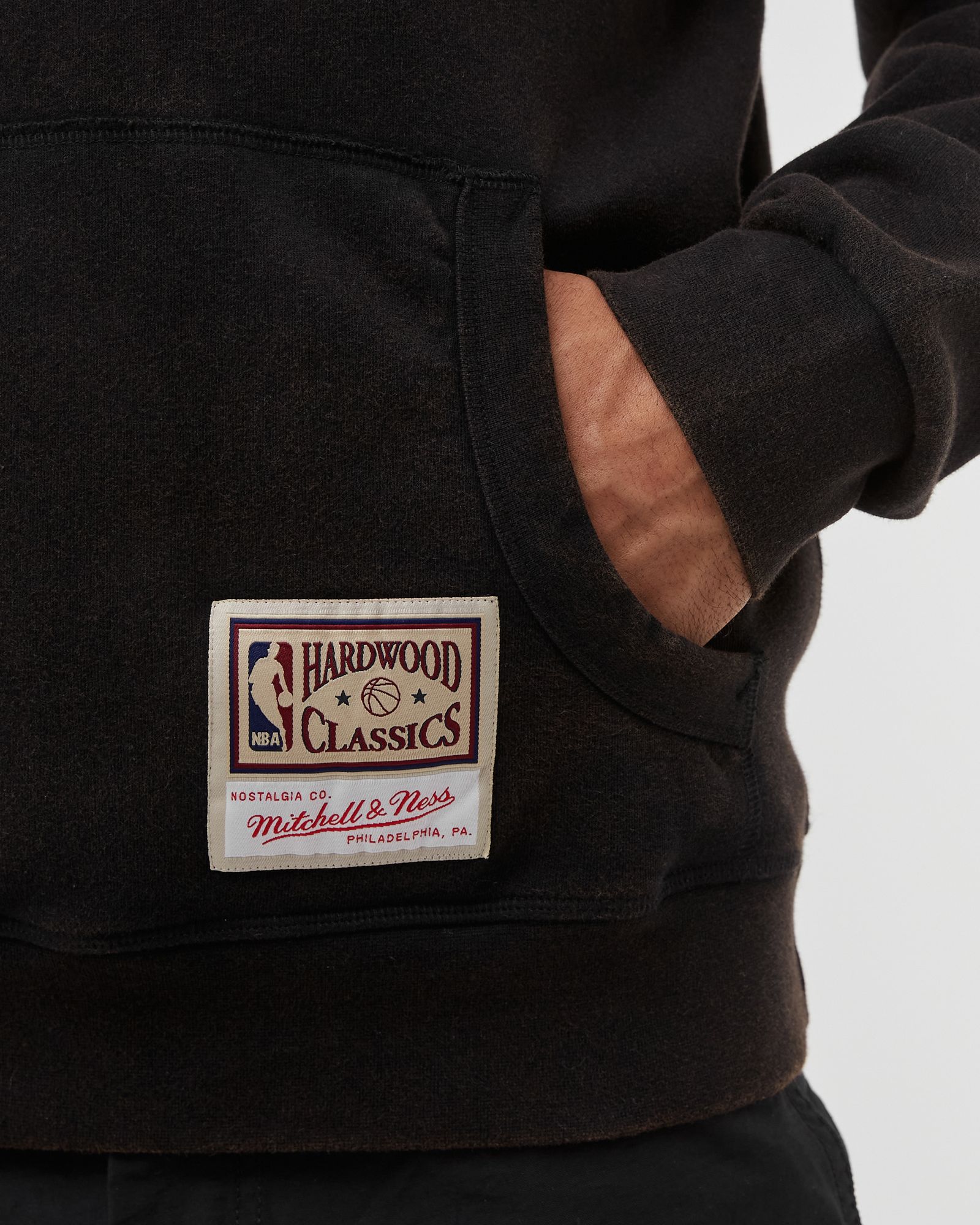 TORONTO RAPTORS Worn Logo Hoody