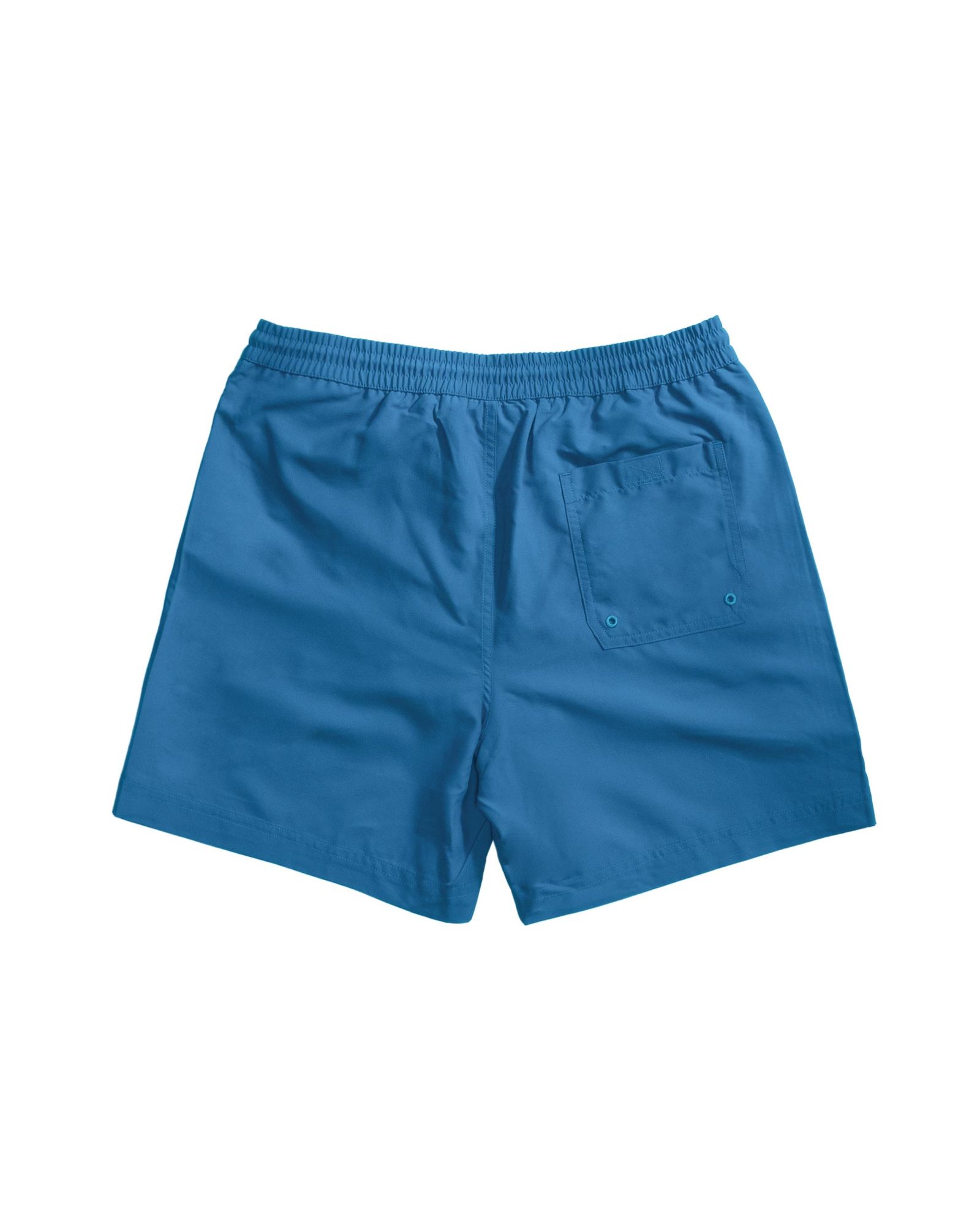 Chase Swim Shorts