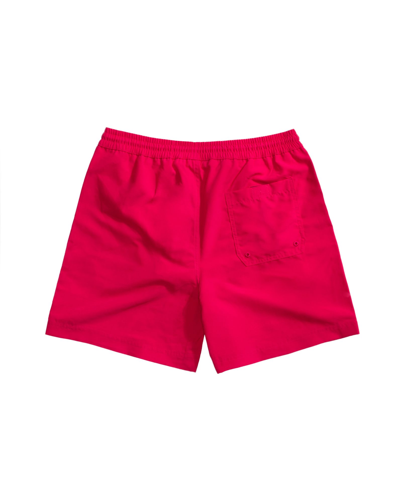 Chase Swim Shorts