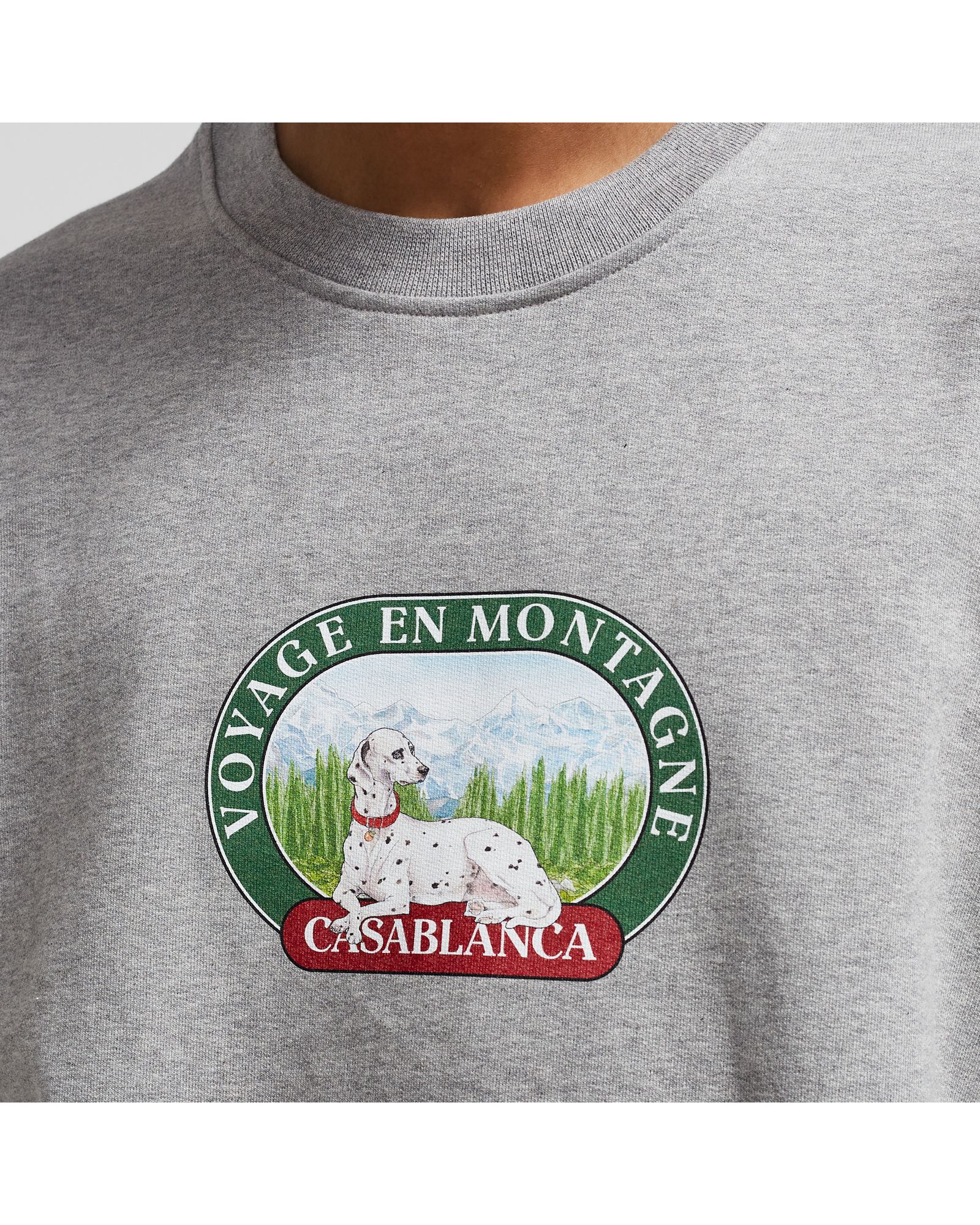 Voyage Dog Printed Sweatshirt