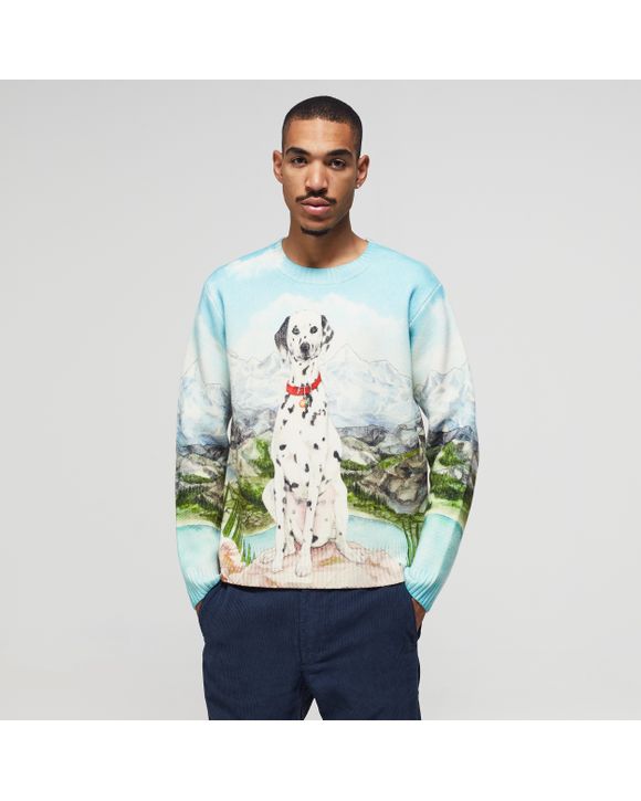 Printed Knit Jumper