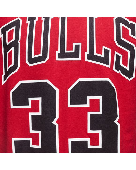 LAST DANCE BULLS NUMBER 33 TEE