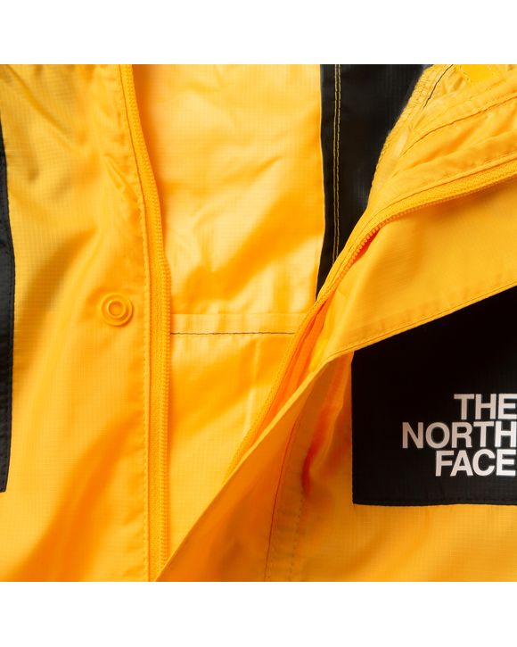 The north face mountain 1985 seasonal celebration outlet jacket