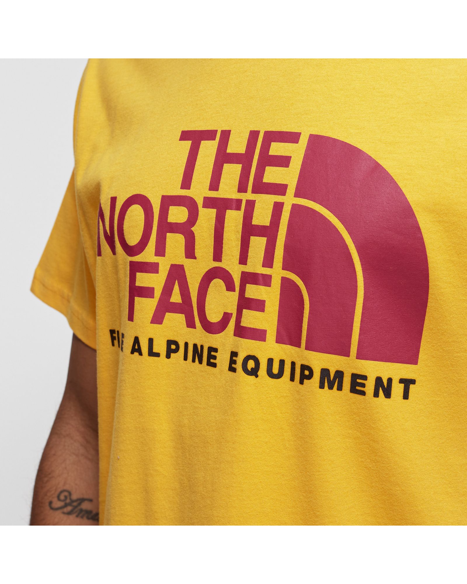 FINE ALPINE TEE 2