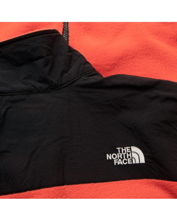 DENALI 2 JACKET
